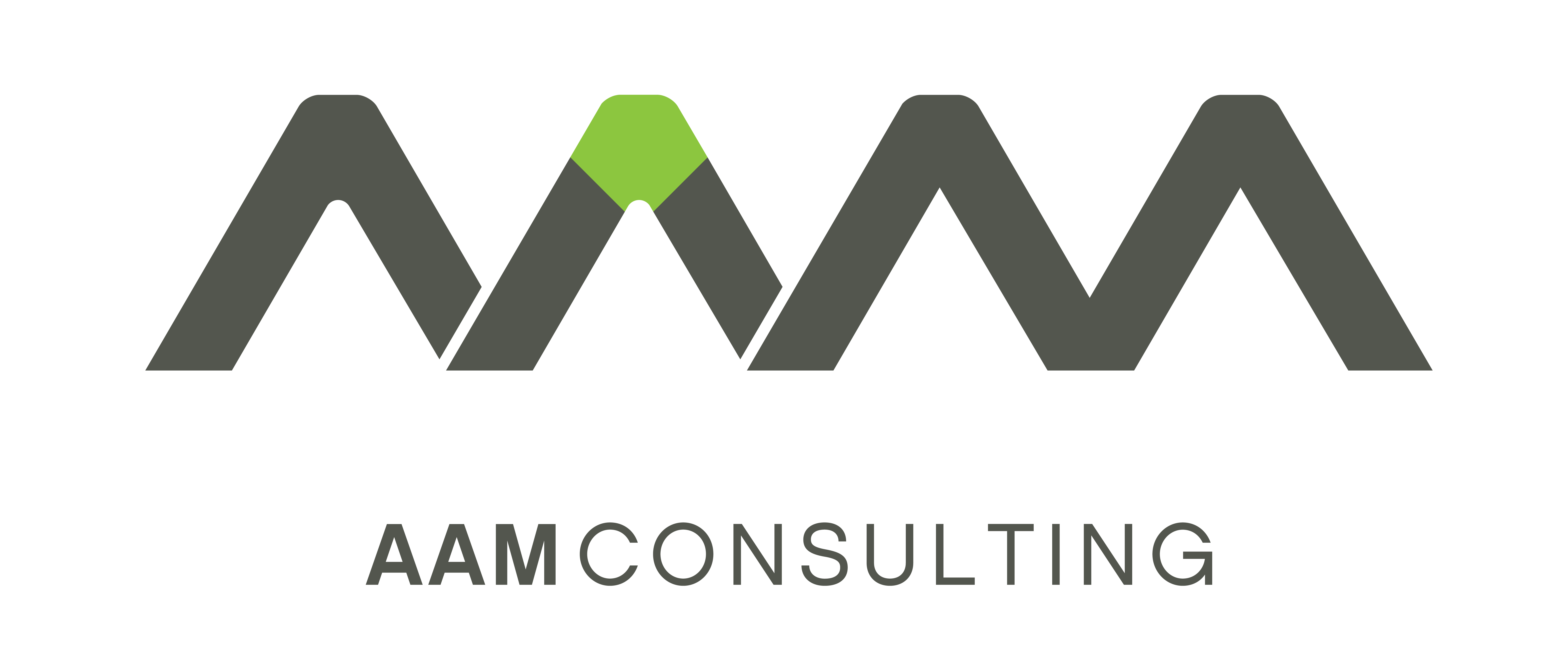 AAM logo.png