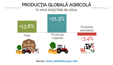 (Infografice) Activitatea agricolă în anul 2025