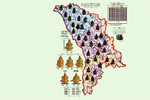 A fost elaborat setul de hărţi cu privire la situaţia demografică în Republica Moldova pentru anul 2008