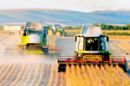 Динамика цен реализации сельхозпродукции сельскохозяйственными предприятиями Республики Молдова в 2009 году
