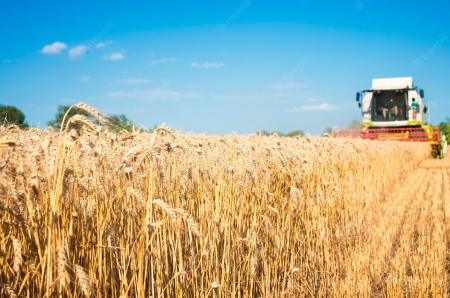 Валовая продукция сельского хозяйства в Республике Молдова в январе- сентябре 2014 года