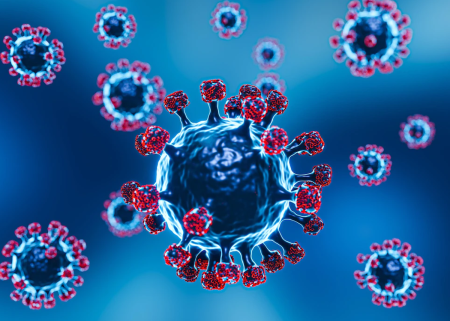 Principalele rezultate ale cercetării “Influența pandemiei COVID-19 asupra gospodăriei” în trimestrul III 2020